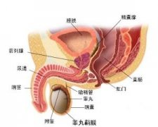 小便刺痛可能是前列腺痛